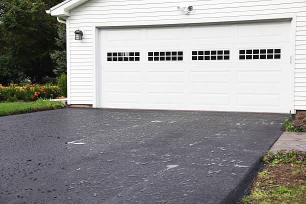 Best Basement Cleanout  in Mission, SD